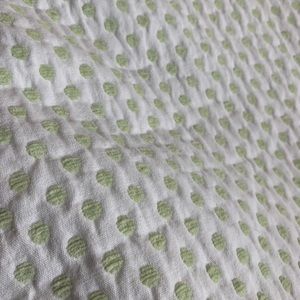 Pottery Barn Kids Audrey Chenille Green Dot Blackout Curtains